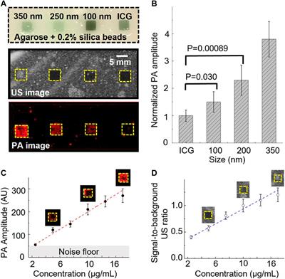 Photoacoustic signal enhancement in dual-contrast gastrin-releasing peptide receptor-targeted nanobubbles